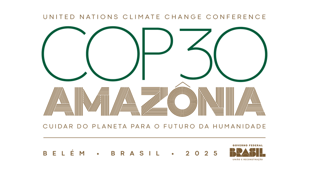 COP 30